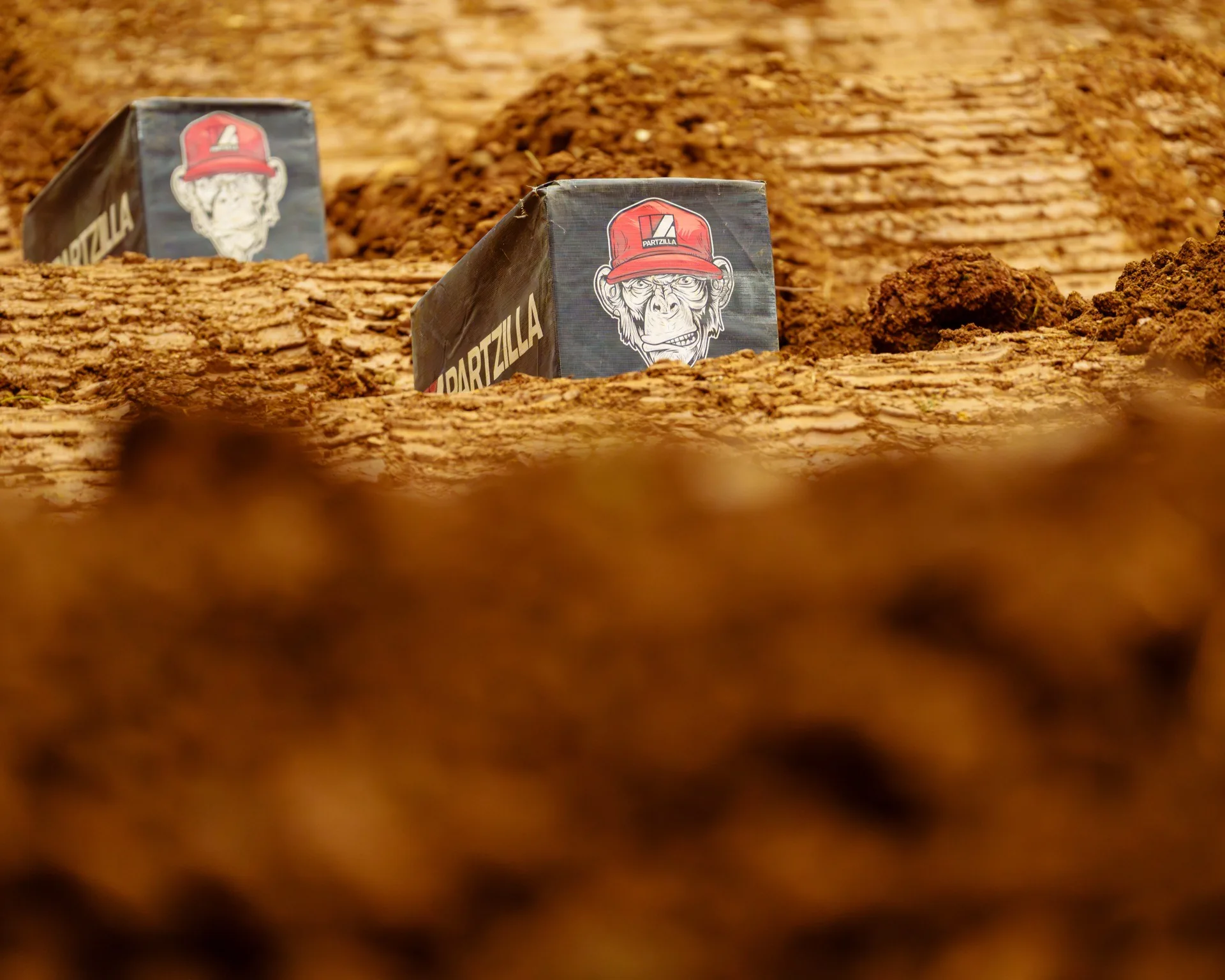 Arena transformation